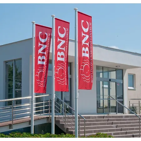 Bnc - Restaurant - Bowling Hotel 3*